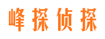 廉江市场调查